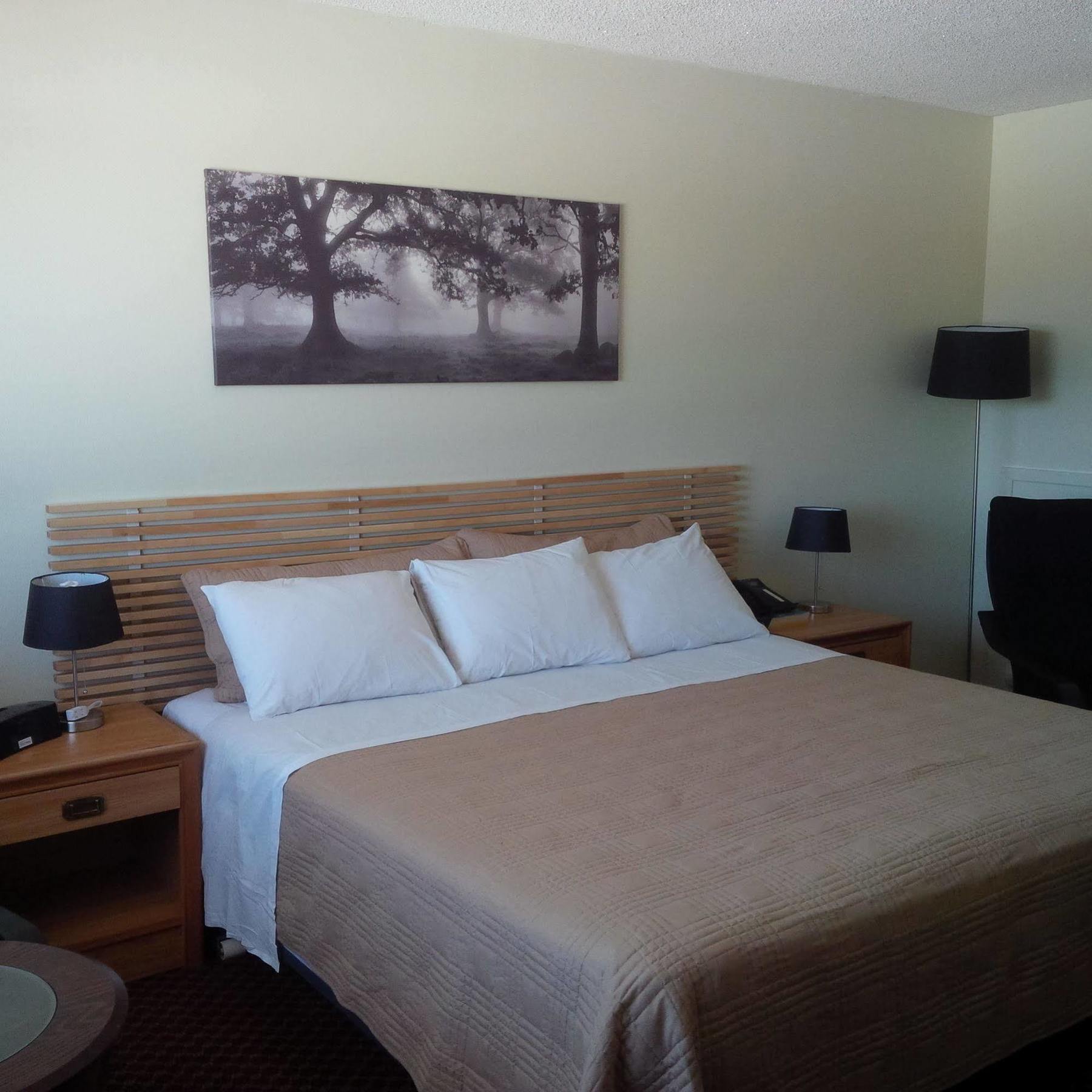 Lord Nelson Motel キングストン エクステリア 写真